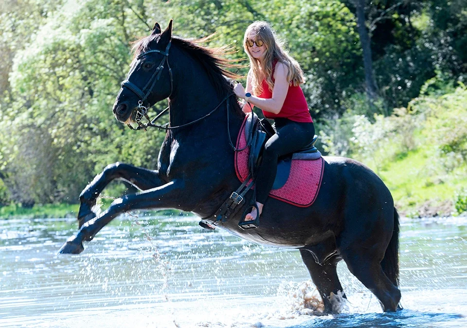 adventure of horseback riding tour