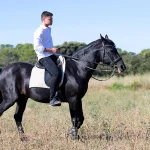 horse riding training for beginners