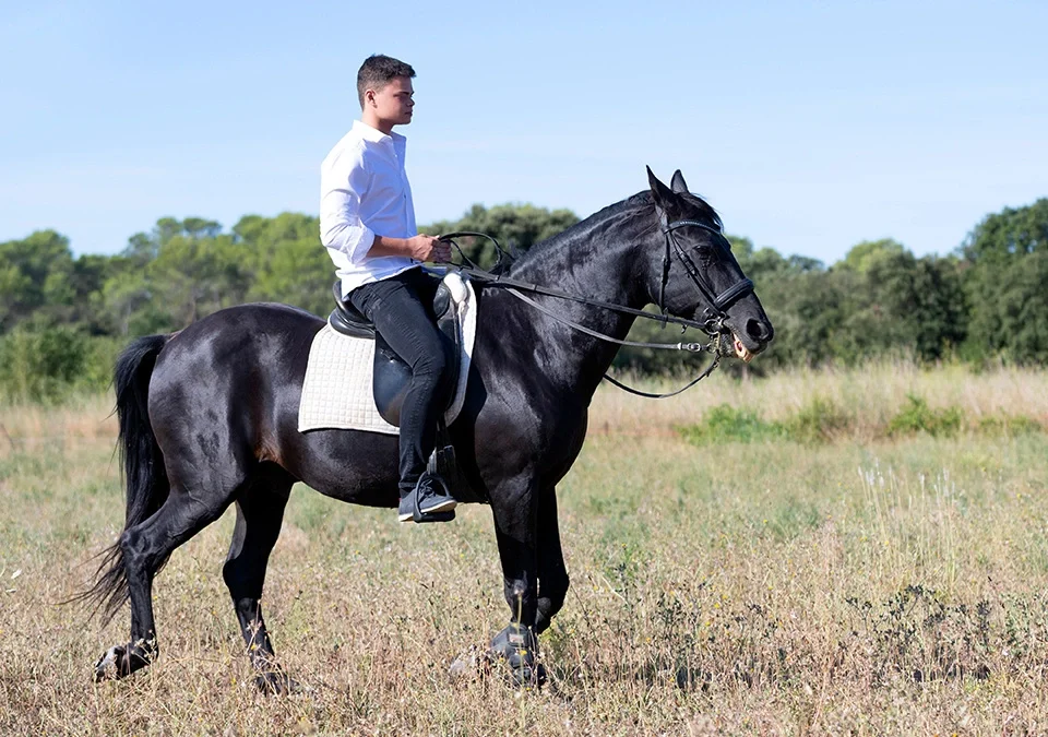 horse riding training for beginners