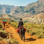 magic of horse riding nairobi