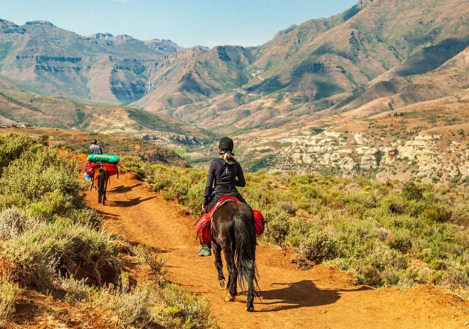 magic of horse riding nairobi