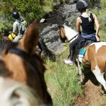 thrilling horse riding adventure