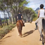 to do at gallopgo stables for nature lovers