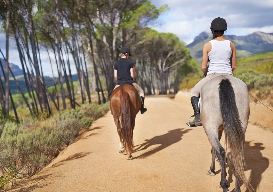 to do at gallopgo stables for nature lovers