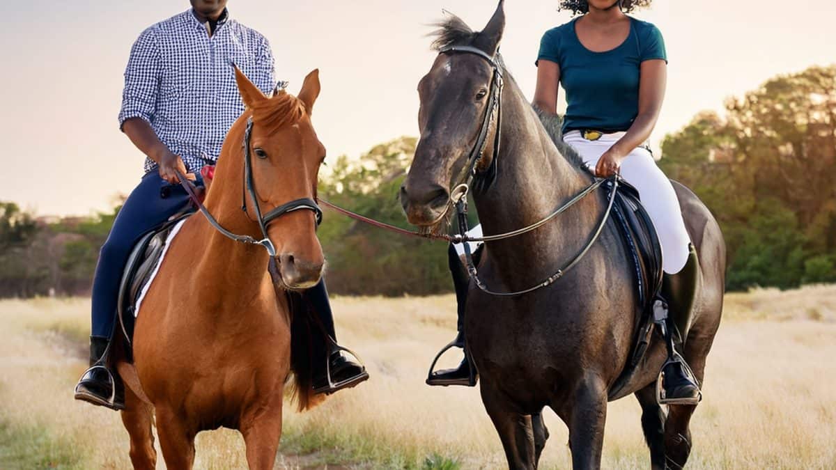 horse back safari