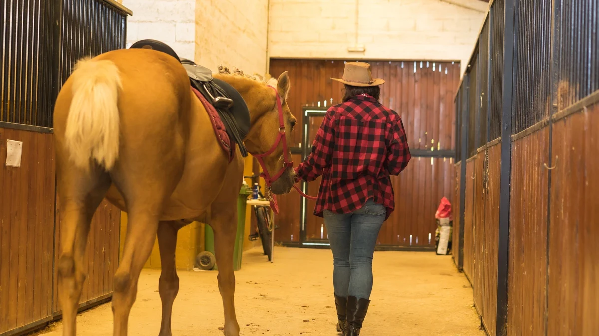 why choose horse riding classes at gallopgo stables
