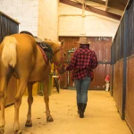 why choose horse riding classes at gallopgo stables