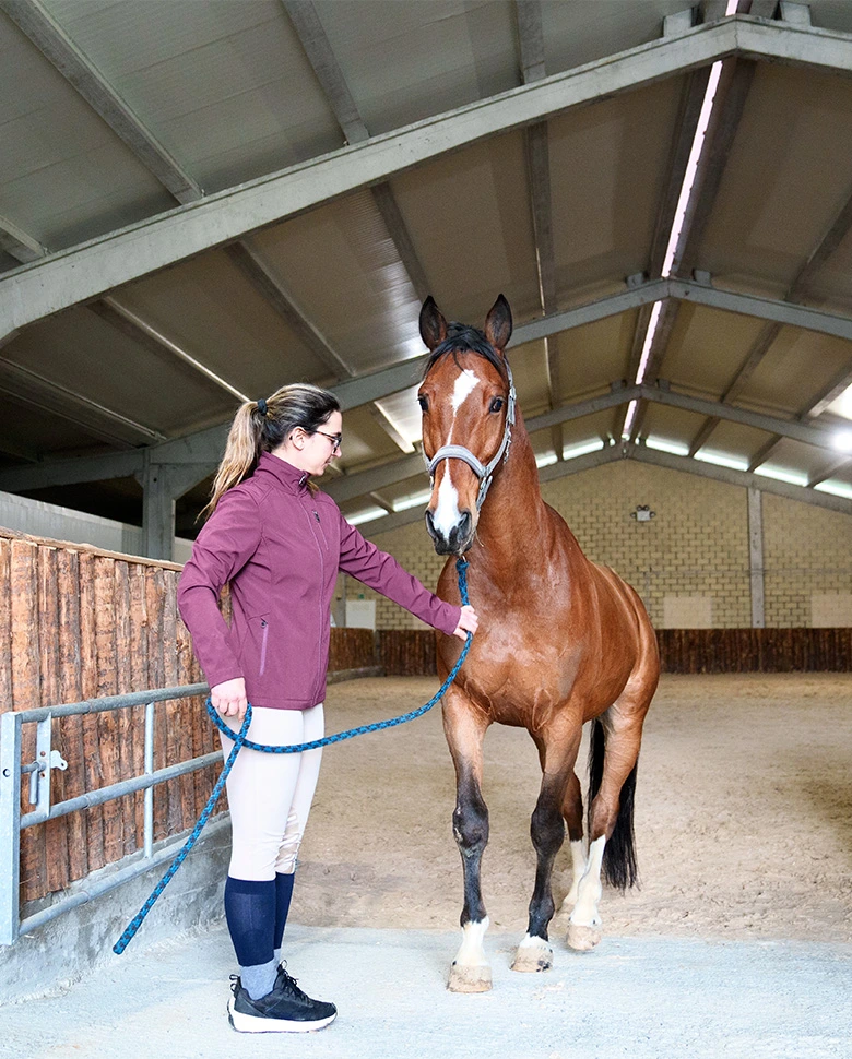 horse stables